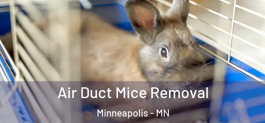  Air Duct Mice Removal Minneapolis - MN