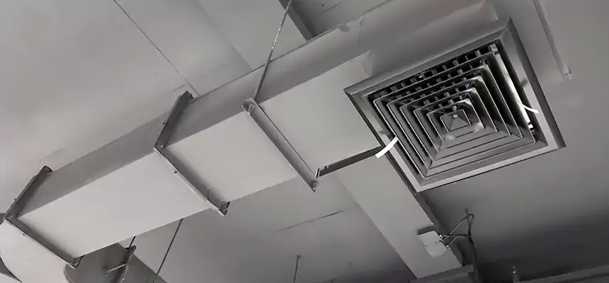 Restorative Allergy Relief Vent Cleaning – Coil, Blower & Housing Detail in Minneapolis