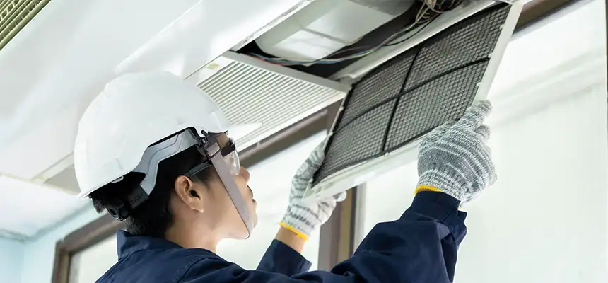 Our Lint Trap Cleaning Service Services in Minneapolis, MN