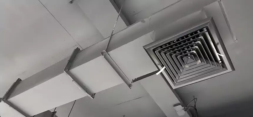 Our Rodent Droppings In Vents Services in Minneapolis, MN