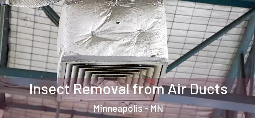  Insect Removal from Air Ducts Minneapolis - MN