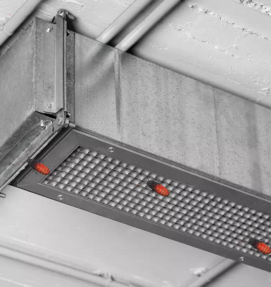 Affordable Insect Removal from Air Ducts in Minneapolis, MN
