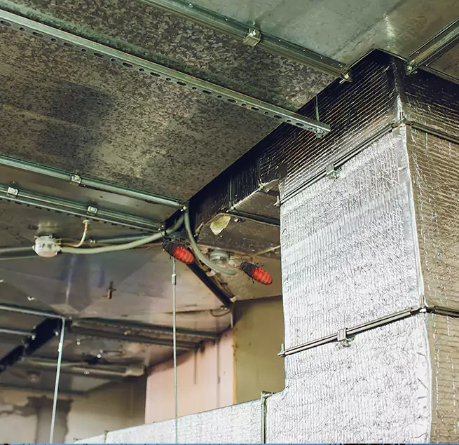 Why Homeowners & Businesses Trust Us in Minneapolis, MN?