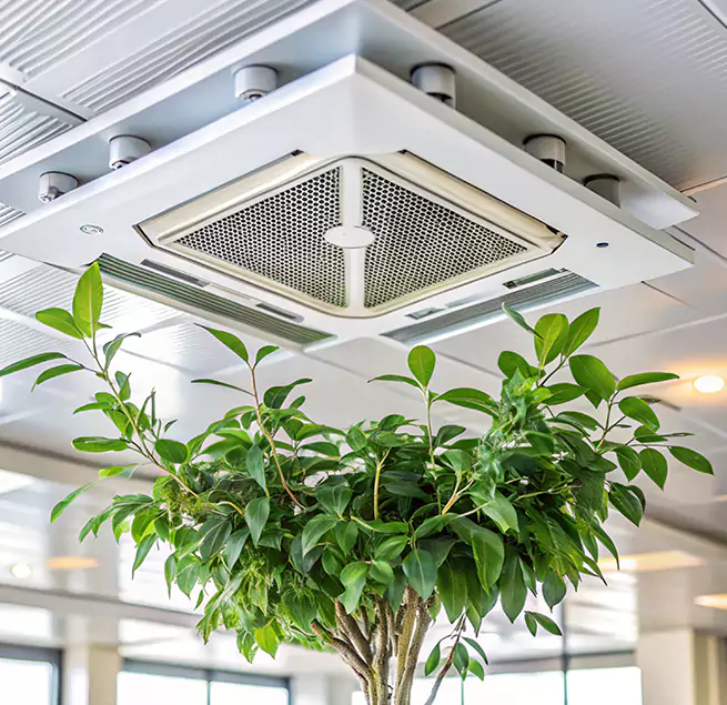 Why Homeowners & Businesses Trust Us in Minneapolis, MN